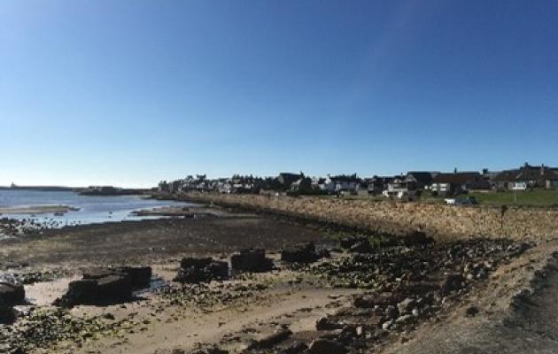 Image of beach on east coast of Scotland