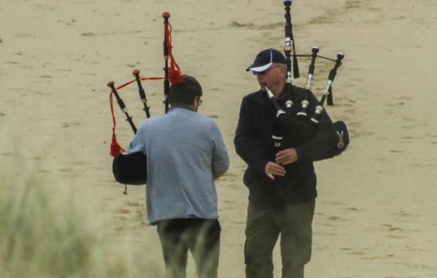 Pipers on a beach