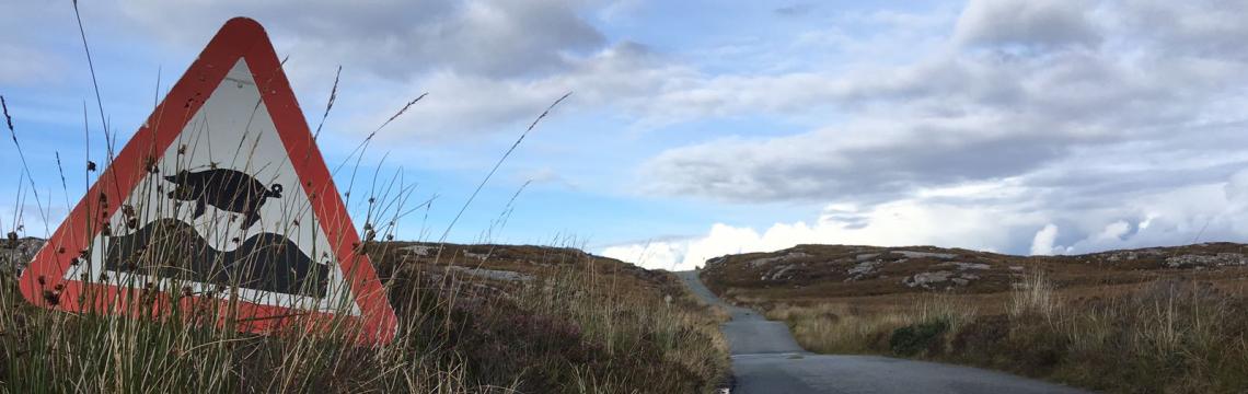 If pigs could fly sign - Isle of Raasay